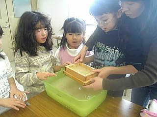 8dff7758.jpg