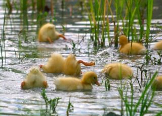 !cid_7A9AD66A-E28C-4D8A-88AC-38DBE32AE3E5