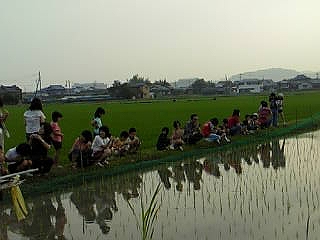 8f1e072e.jpg