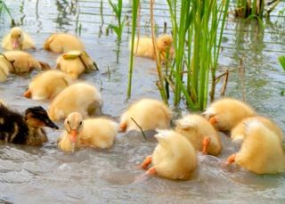 !cid_0409FD8B-DAC6-4B48-8A06-9B7C1BD31FBF