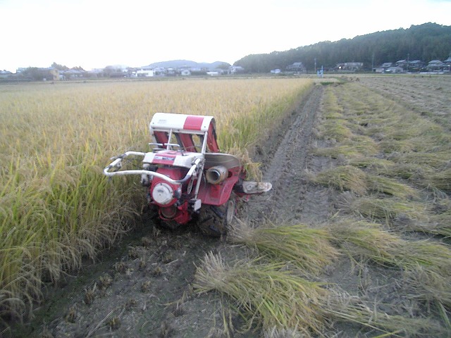 a25f1333.jpg