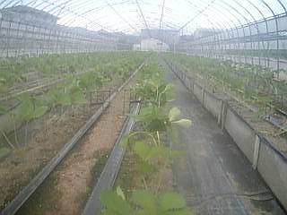 a542d039.jpg
