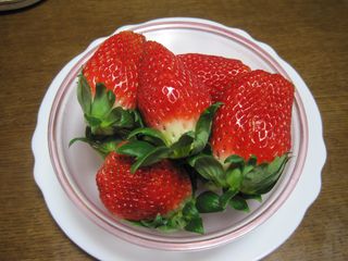 a7a3894e.jpg