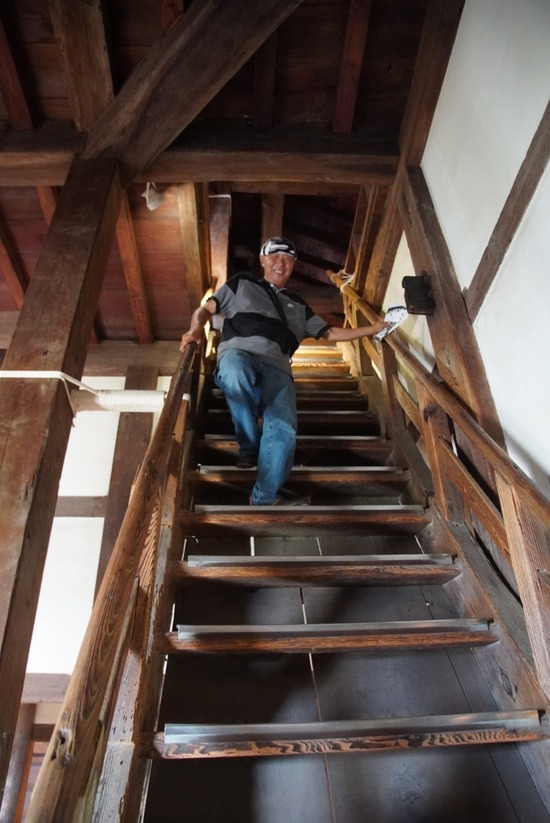 LINE_ALBUM_津島ノ宮・丸亀城_240806_10