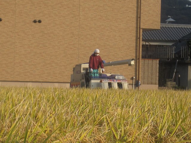 b485d3e3.jpg