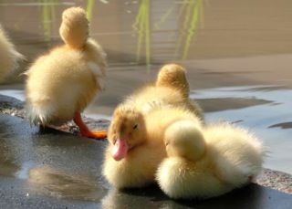 !cid_4E53396A-C62F-4624-8271-6F51D542DB9D