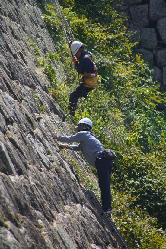 LINE_ALBUM_津島ノ宮・丸亀城_240806_20