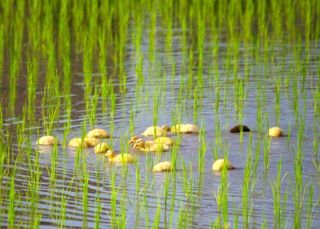 !cid_D3A26CBD-E5BD-4A01-87F6-5045DB6BE849