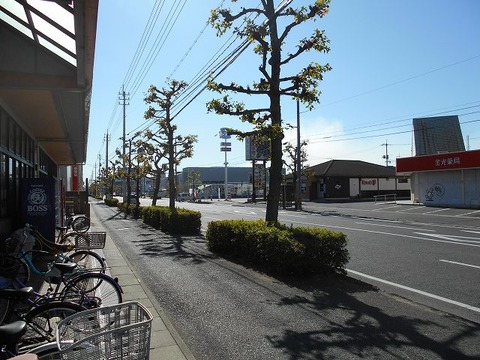 DSCN0995
