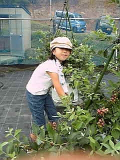 d344a627.jpg