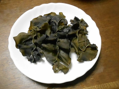 DSCN2787