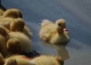 !cid_64692013-AD9E-4907-9748-8F54341BB647