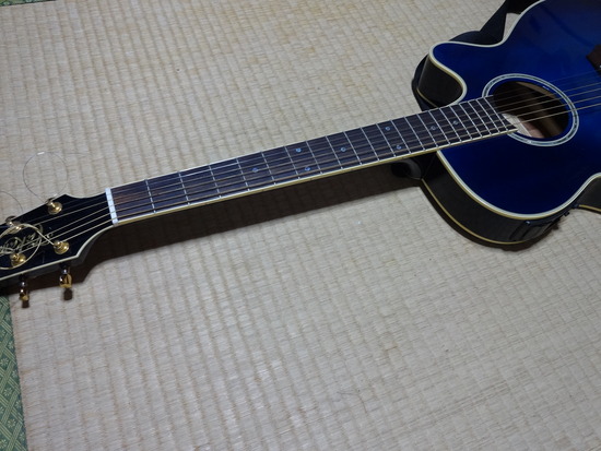 DSC04004