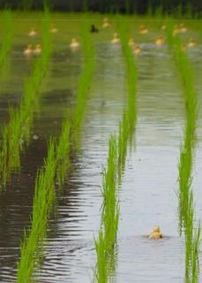 !cid_14BBCB5E-24BD-4AEA-B0BE-A6FEE9D50C00