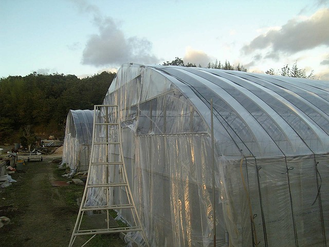 fa0b7774.jpg