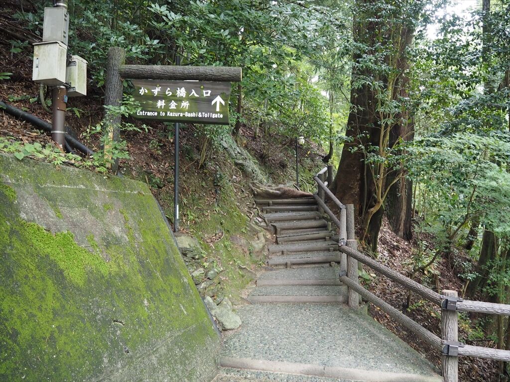 ズラじゃないカズラだ 07 徳島県三好市西祖谷山村 かずら橋 惰性的にうどん巡礼中 A