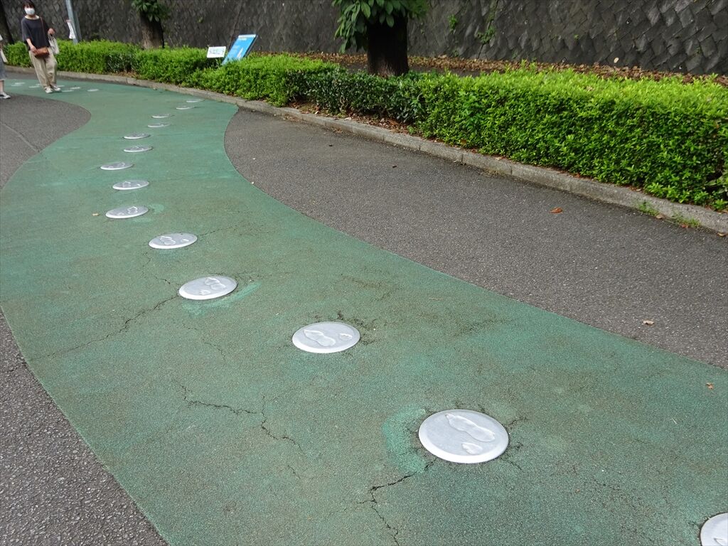 愛媛県　素人　流出 とべとべお兄さん【2022.9 愛媛県伊予郡砥部町 愛媛県立とべ動物園にて】 : 惰性的な麺巡礼生活：α