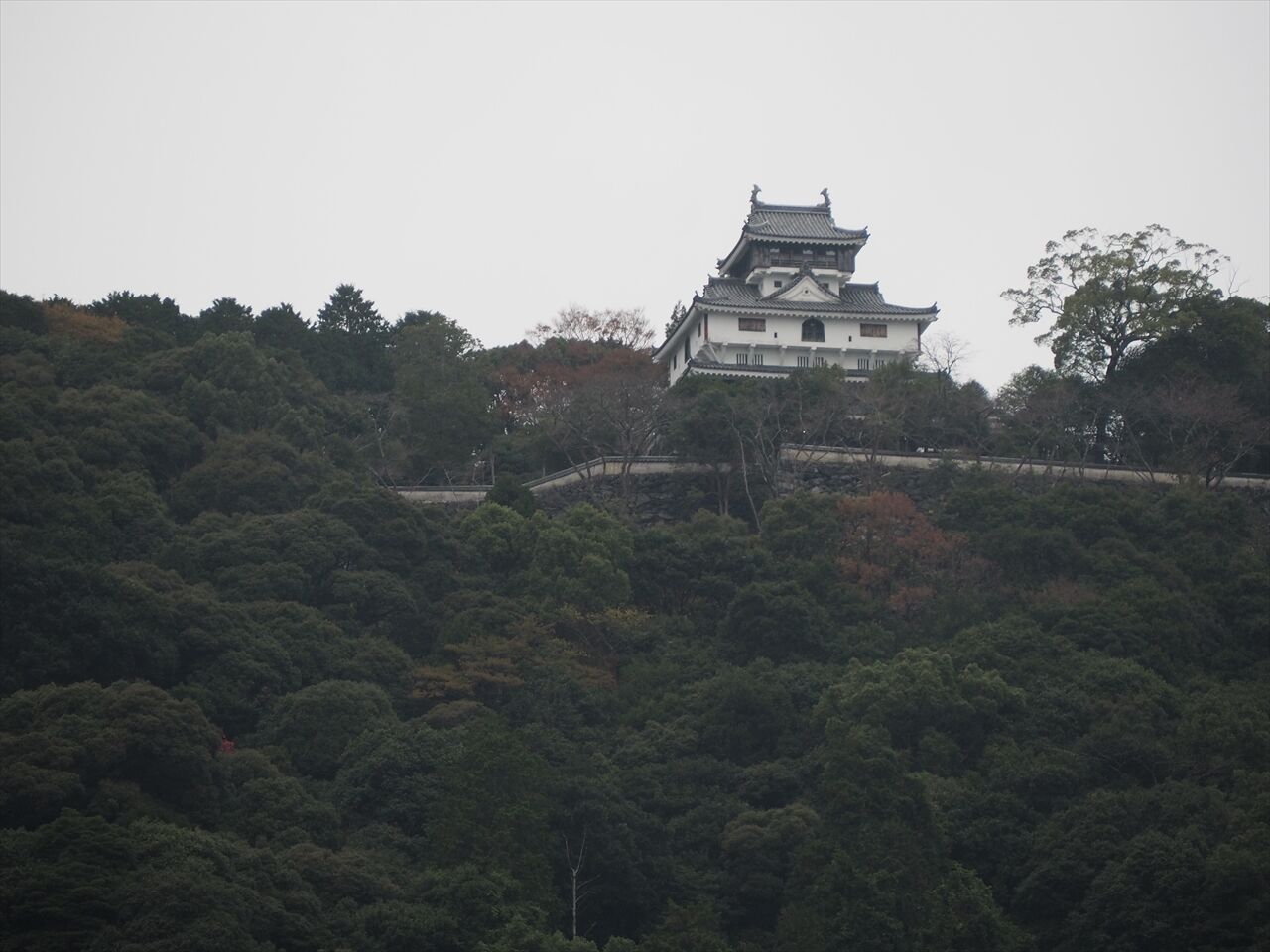きんたい橋をわたって 11 山口県岩国市 錦帯橋を渡るの巻 惰性的にうどん巡礼中 A きんたい橋をわたって 11 山口県岩国市 錦帯橋を渡るの巻 惰性的にうどん巡礼中 A