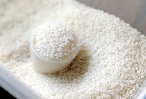 糖質制限って結局どうなん