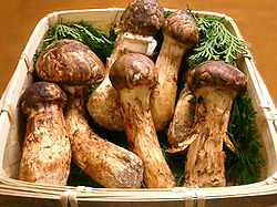 250px-Matsutake