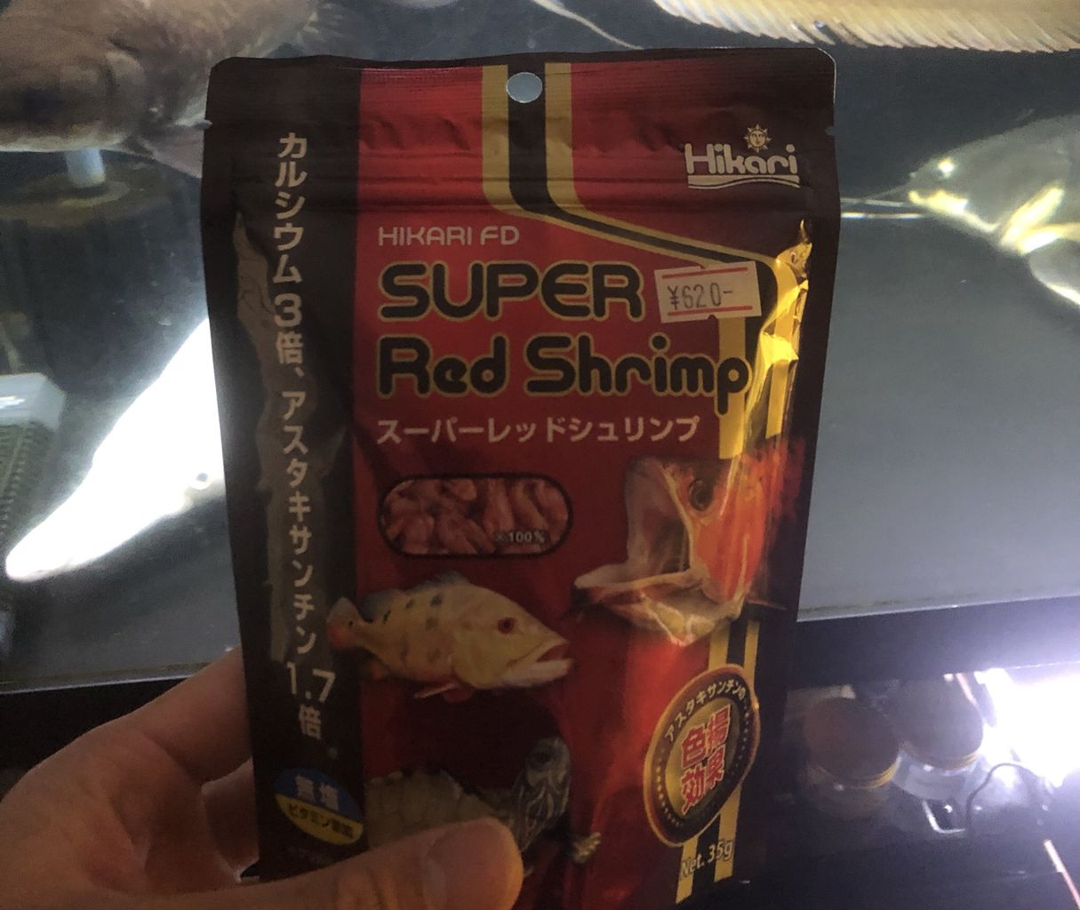 スーパーレッドシュリンプ アジアアロワナと愉快な仲間達の飼育ブログ