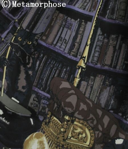 新作☆黒猫の秘密の研究室シリーズ☆公開 : ☆ メタモルフォーゼ