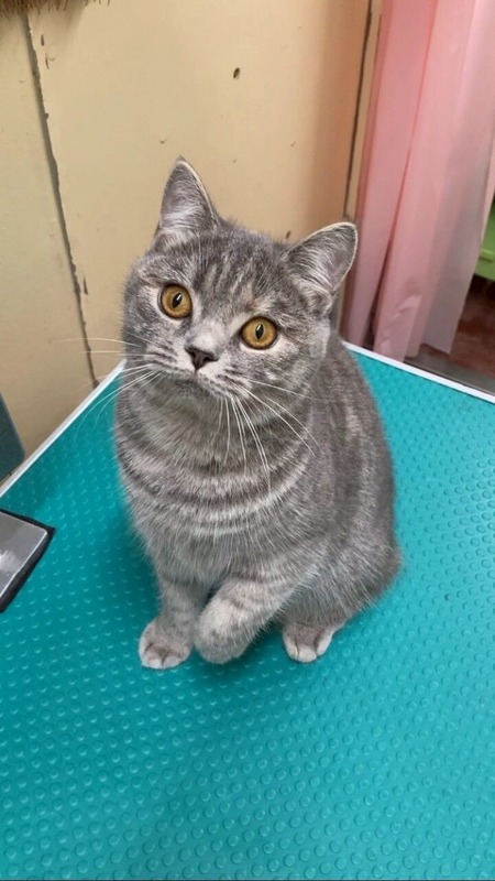 LINE_ALBUM_20241213生まれ_250609_2