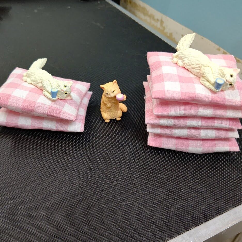 優しくなるようにしたいね 店長の犬猫な日々 山形ペットショップ 店長 ブログ 優しくなるようにしたいね 店長の犬猫な日々 山形ペットショップ 店長 ブログ