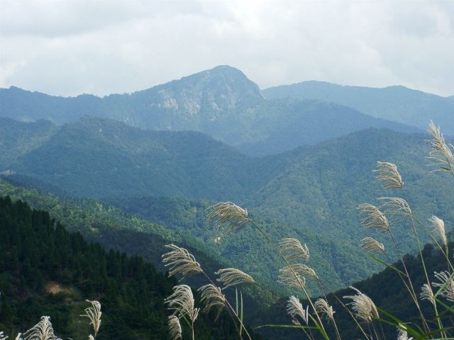 ススキ揺れる高倉峠 Blue Stars ススキ揺れる高倉峠 Blue Stars
