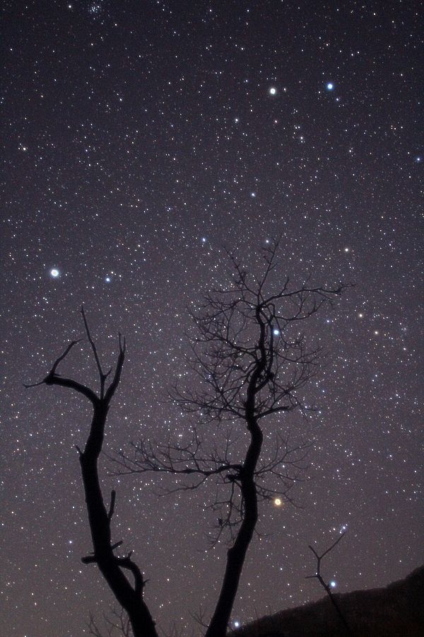 藤橋城 西美濃プラネタリウム で星座撮影 Blue Stars