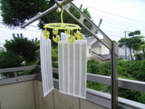 ɾȽ�ʤ���鲰