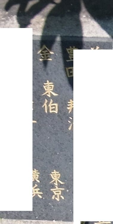 金東伯1