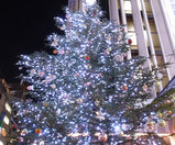 イルミネーション01