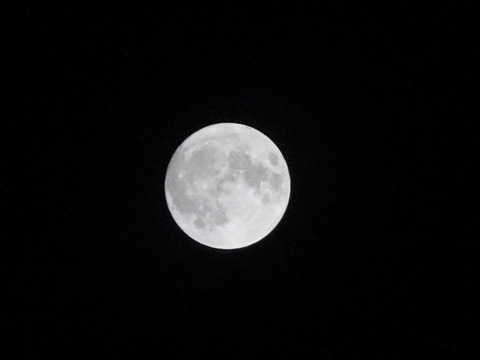 20190913-2