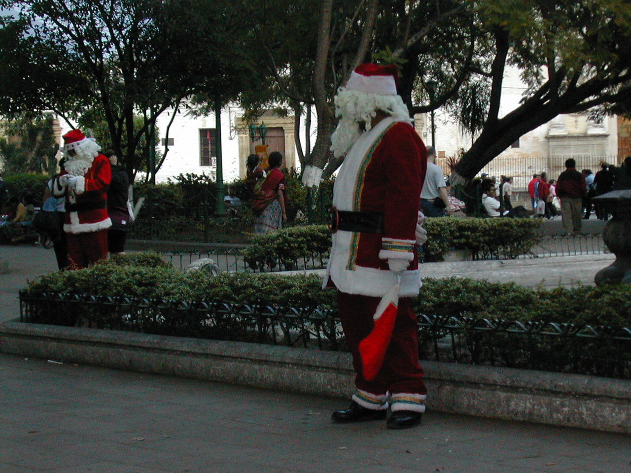 DSCN5664