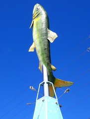 P8150767