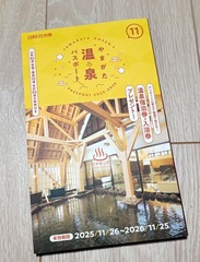 IMG_20251130_220532547_AE