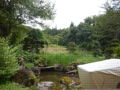 DSCN3617