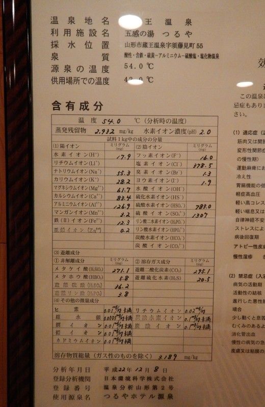 山形市 蔵王温泉 五感の湯 つるや メキシカンふらいやぁ