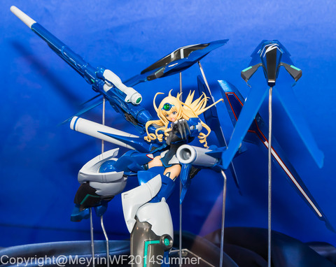 WF2014s_amiami001