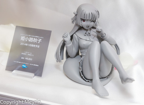 WF2013S_GSC_Rengou_Scale06