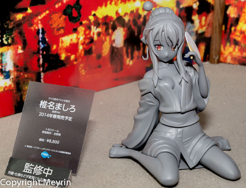 WF2013S_GSC_Rengou_Scale37