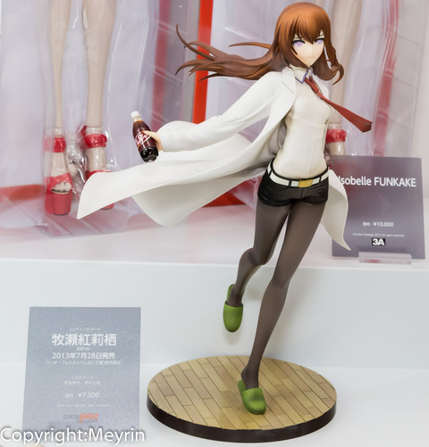 WF2013S_GSC_Rengou_Scale43