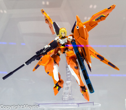 WF2013S_etc14