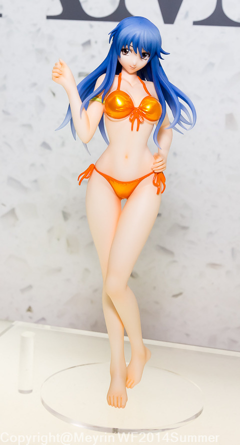 WF2014s_AMAKUNI002