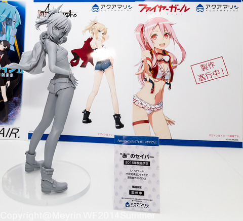 WF2014s_AQUAMARINE004