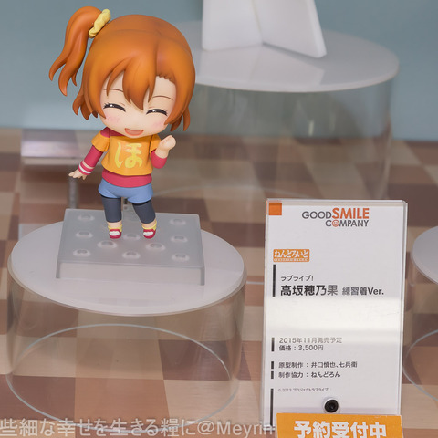 WF2015_Summer_GSC009