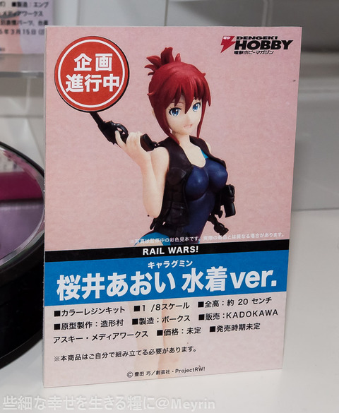 wf2015w_HobbyJapan013