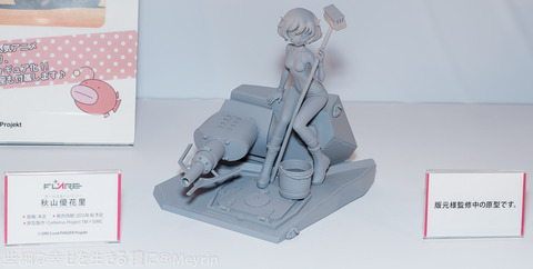 wf2015w_FRARE13