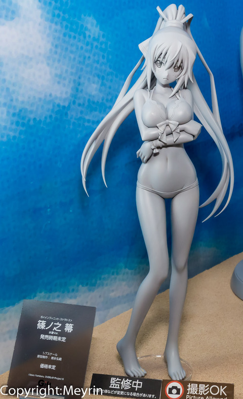 WF2013S_GSC_Rengou_Scale32